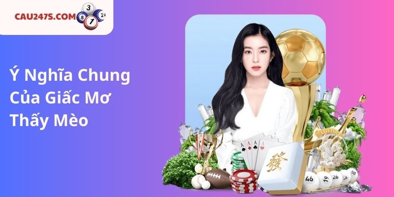 Ý Nghĩa Chung Của Giấc Mơ Thấy Mèo