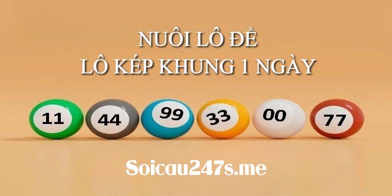 Hướng dẫn quy trình bắt lô kép khung 1 ngày
