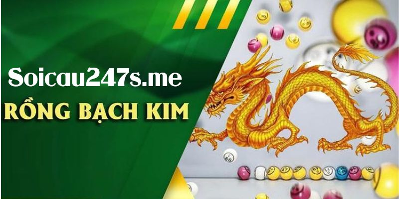 Rồng Bạch Kim có nhiều công cụ thống kê hay