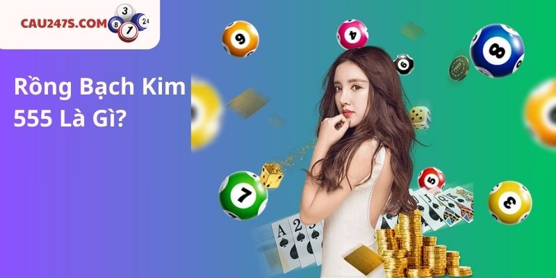 Rồng Bạch Kim 555 Là Gì?