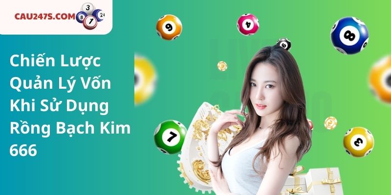 Chiến Lược Quản Lý Vốn Khi Sử Dụng Rồng Bạch Kim 666