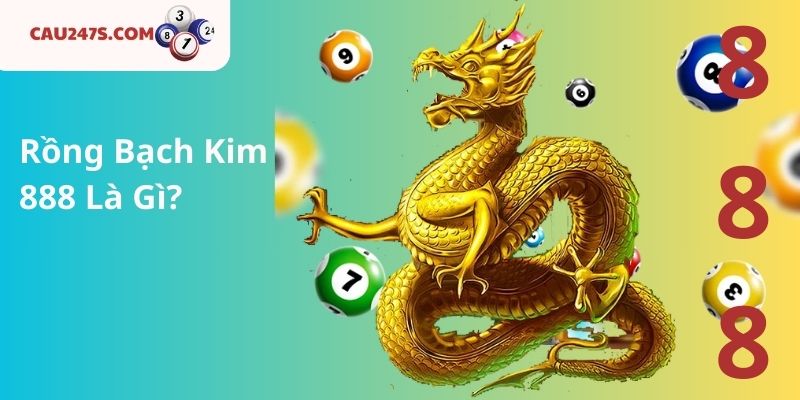 Rồng Bạch Kim 888 Là Gì?