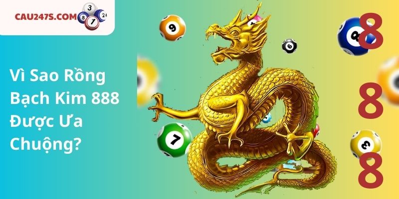 Vì Sao Rồng Bạch Kim 888 Được Ưa Chuộng?