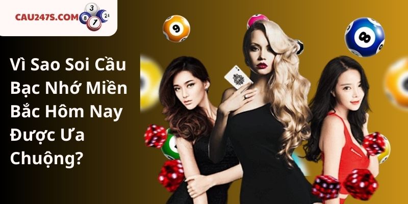 Vì Sao Soi Cầu Bạc Nhớ Miền Bắc Hôm Nay Được Ưa Chuộng?