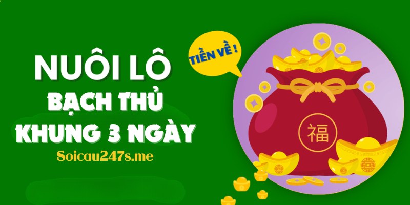 Hãy chuẩn bị tâm lý và đừng vội vàng từ bỏ khi nuôi bạch thủ lô khung 3 ngày