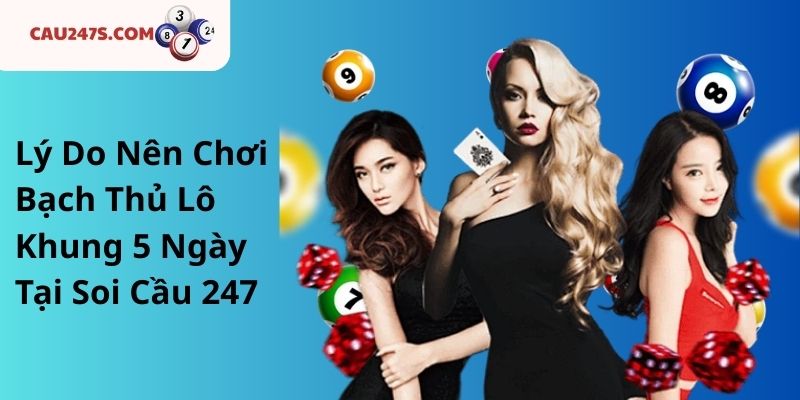 Lý Do Nên Chơi Bạch Thủ Lô Khung 5 Ngày Tại Soi Cầu 247