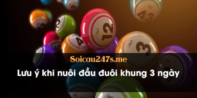 Nuôi đầu đuôi khung 3 ngày là một phương pháp an toàn và hiệu quả khi anh em cần duy trì sự bền bỉ và chiến lược lâu dài