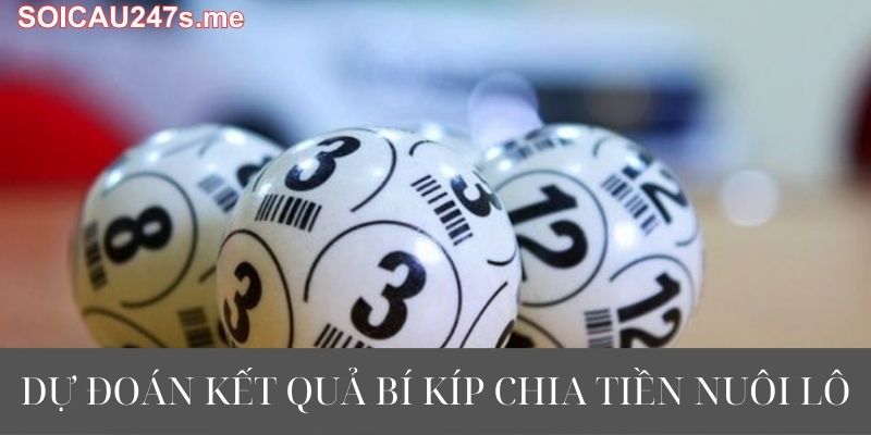 Dự Đoán Kết Quả Bí Kíp Chia Tiền Nuôi Lô