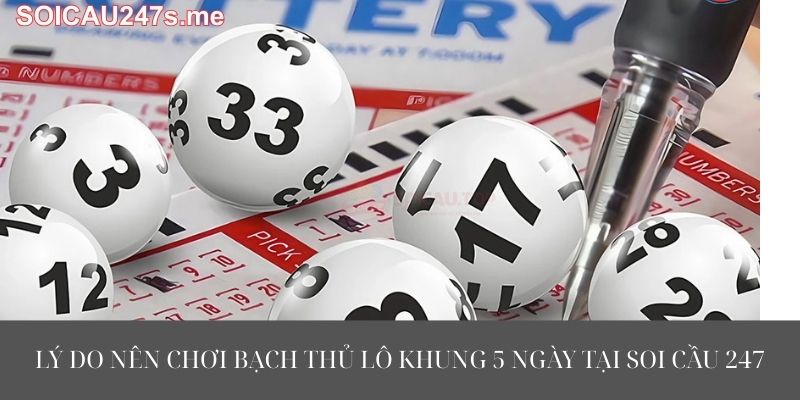 Lý Do Nên Chơi Bạch Thủ Lô Khung 5 Ngày Tại Soi Cầu 247