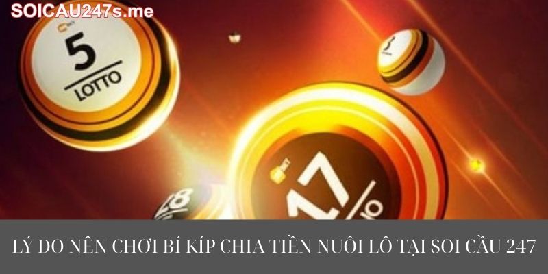 Lý Do Nên Chơi Bí Kíp Chia Tiền Nuôi Lô Tại Soi Cầu 247
