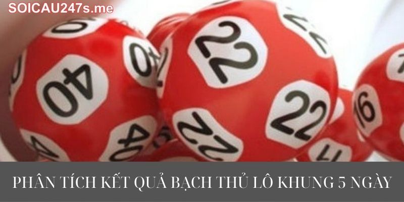 Phân Tích Kết Quả Bạch Thủ Lô Khung 5 Ngày