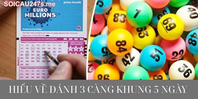 Hiểu Về Đánh 3 Càng Khung 5 Ngày