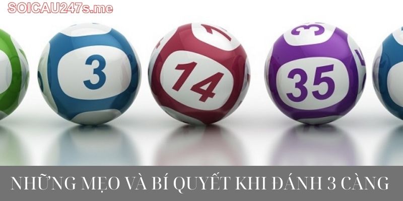 Những Mẹo và Bí Quyết Khi Đánh 3 Càng