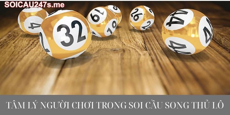Tâm lý người chơi trong soi cầu song thủ lô