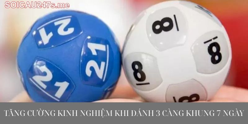Tăng Cường Kinh Nghiệm Khi Đánh 3 Càng Khung 7 Ngày
