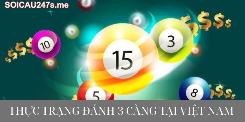 thực trạng đánh 3 càng tại việt nam