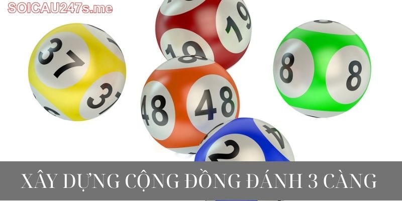 Xây Dựng Cộng Đồng Đánh 3 Càng