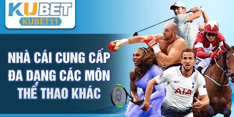 Nhà cái cung cấp đa dạng các môn thể thao khác