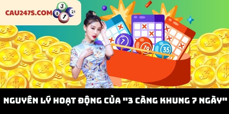 Nguyên Lý Hoạt Động Của "3 Càng Khung 7 Ngày"