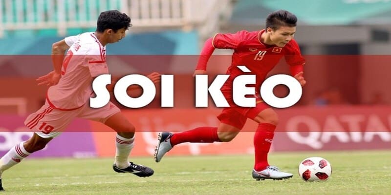 Các trường phái soi kèo phổ biến tại BetVisa