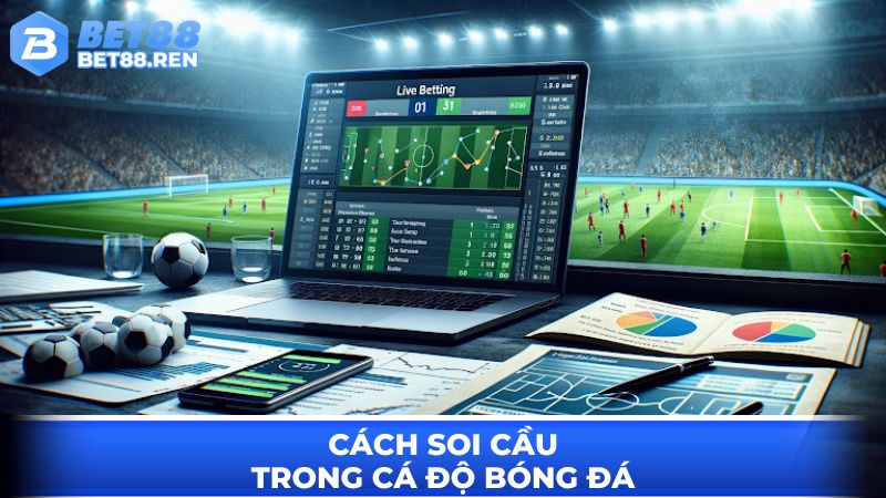 Cách soi cầu trong cá độ bóng đá