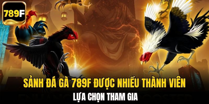 Đánh giá tổng quan về giao diện và tính năng đá gà 789f