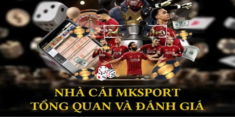 Hướng dẫn tải app MKSport từ Google Play (Android)