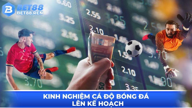 Kinh nghiệm cá độ bóng đá bằng cách lên kế hoạch