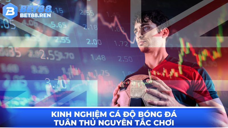 Kinh nghiệm cá độ bóng đá - tuân thủ nguyên tắc chơi