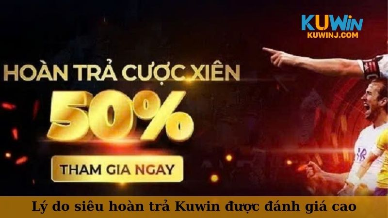 Lý do siêu hoàn trả Kuwin được đánh giá cao