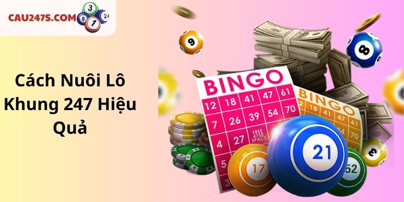 Cách Nuôi Lô Khung 247 Hiệu Quả – Hướng Dẫn Từng Bước