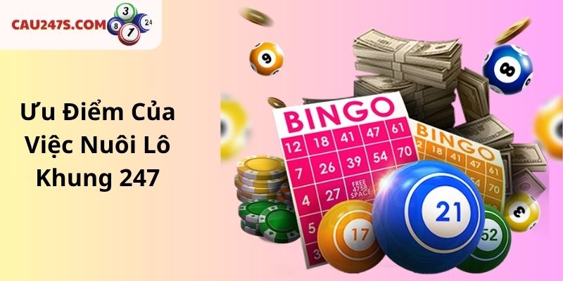 Ưu Điểm Của Việc Nuôi Lô Khung 247