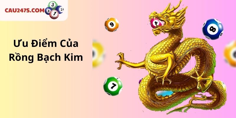 Ưu Điểm Của Rồng Bạch Kim