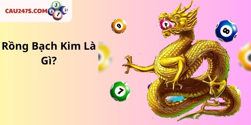 Rồng Bạch Kim Là Gì?