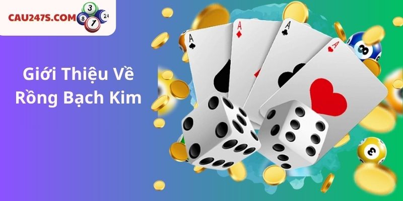 Giới Thiệu Về Rồng Bạch Kim