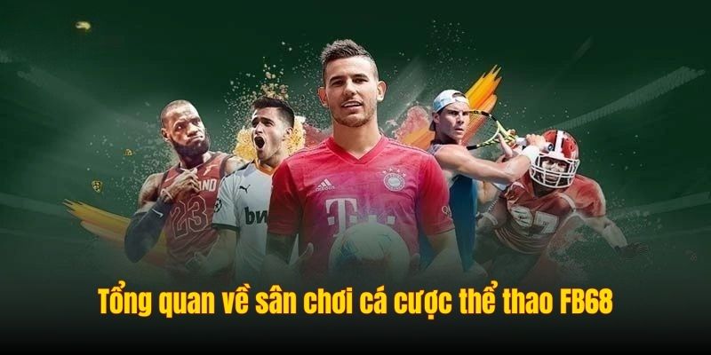 Tổng quan về sân chơi cá cược thể thao FB68