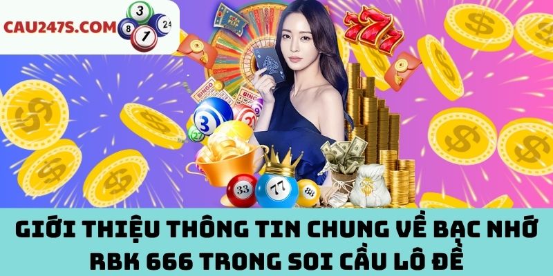 Tổng quát về bạc nhớ RBK 666