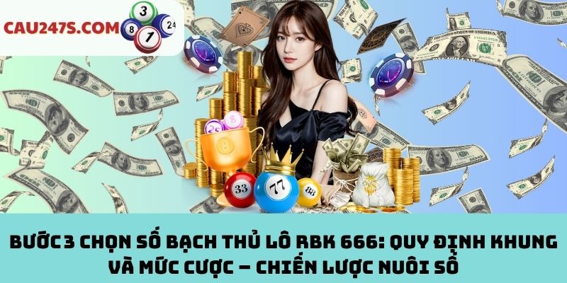 Bước 3: Quy định khung và mức cược – Chiến lược nuôi số