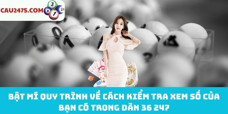 Quy trình kiểm tra xem số của bạn có trong dàn 36 247