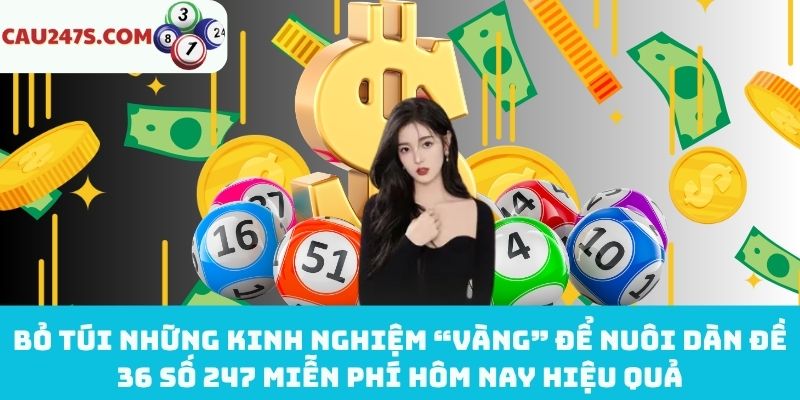 Mẹo “vàng” để nuôi dàn đề 36 số 247 miễn phí hôm nay hiệu quả