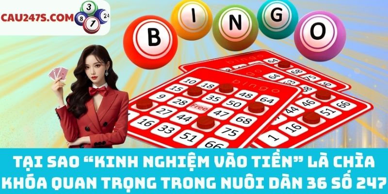 Lý do kinh nghiệm vào tiền nuôi 36 số 247 là chìa khóa quan trọng