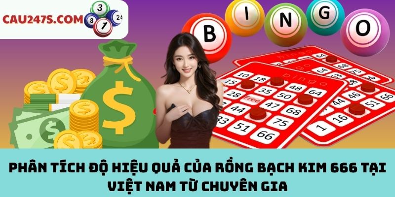 Đánh giá độ hiệu quả của Rồng Bạch Kim 666 trong lô đề