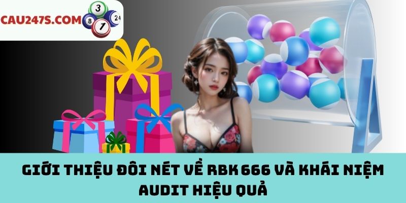 Hiểu đúng về RBK 666 và audit hiệu quả