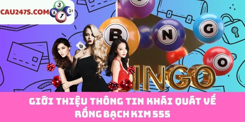 Định nghĩa đúng về Rồng Bạch Kim 555