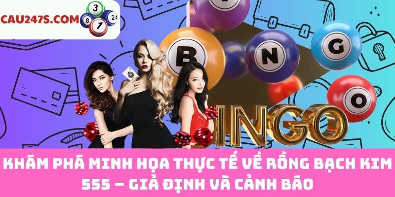 Ví dụ thực tế về Rồng Bạch Kim 555