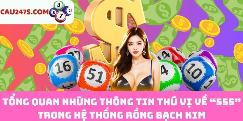 Khái quát về 555 trong Rồng Bạch Kim